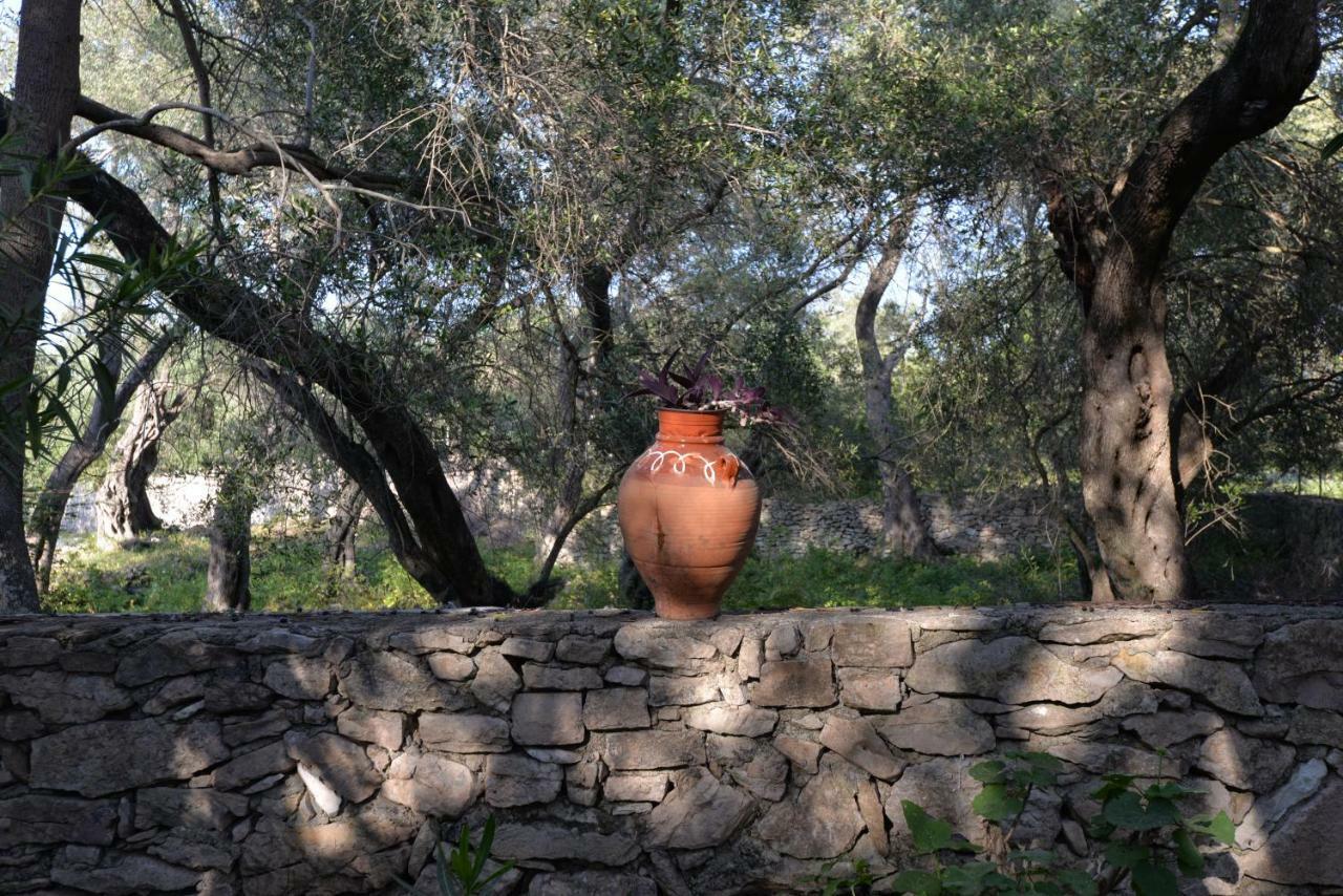 Mikroulis Residence Mastoratika المظهر الخارجي الصورة